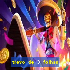 trevo de 3 folhas significado espiritual